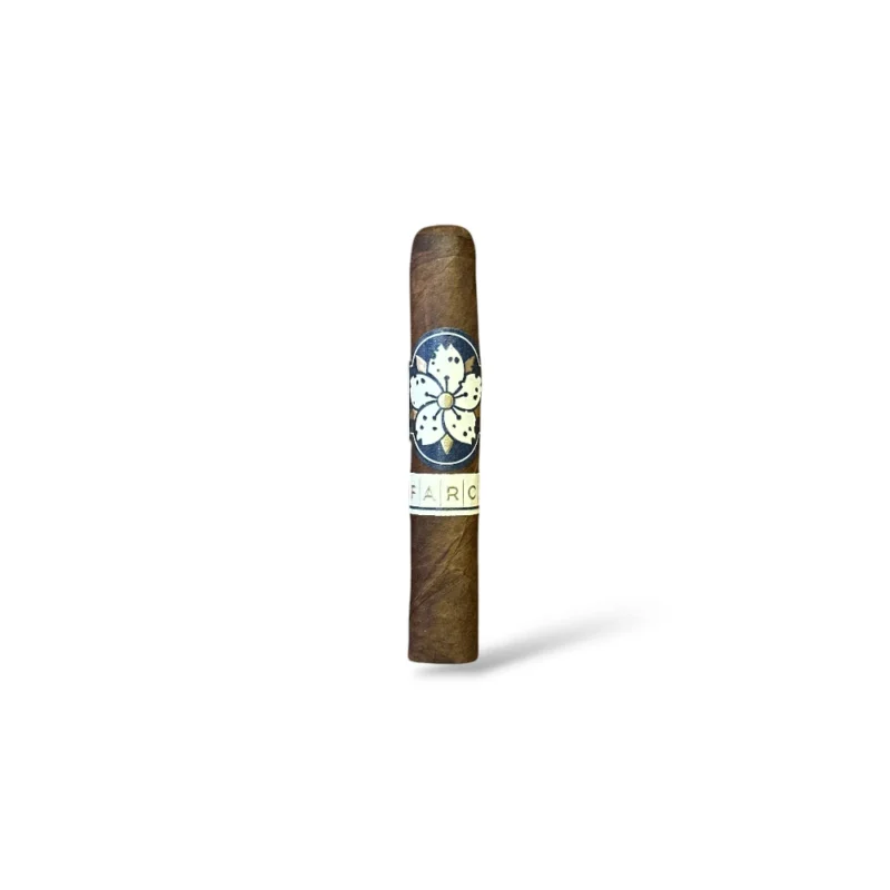 Room 101 Farce Maduro Papi Chulo