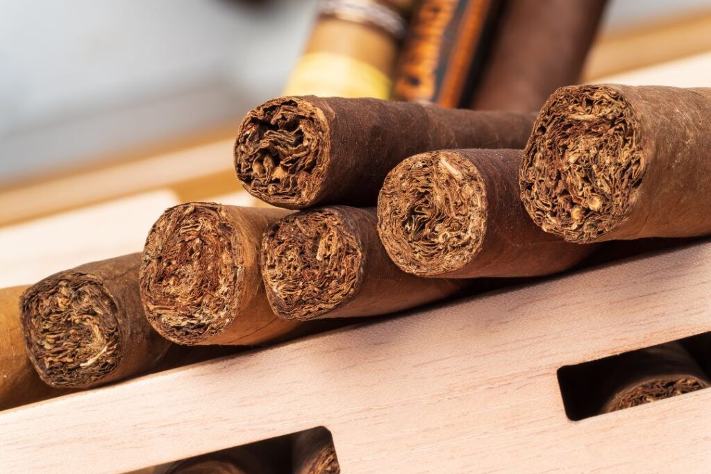 cigars