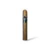Asylum 13 Robusto
