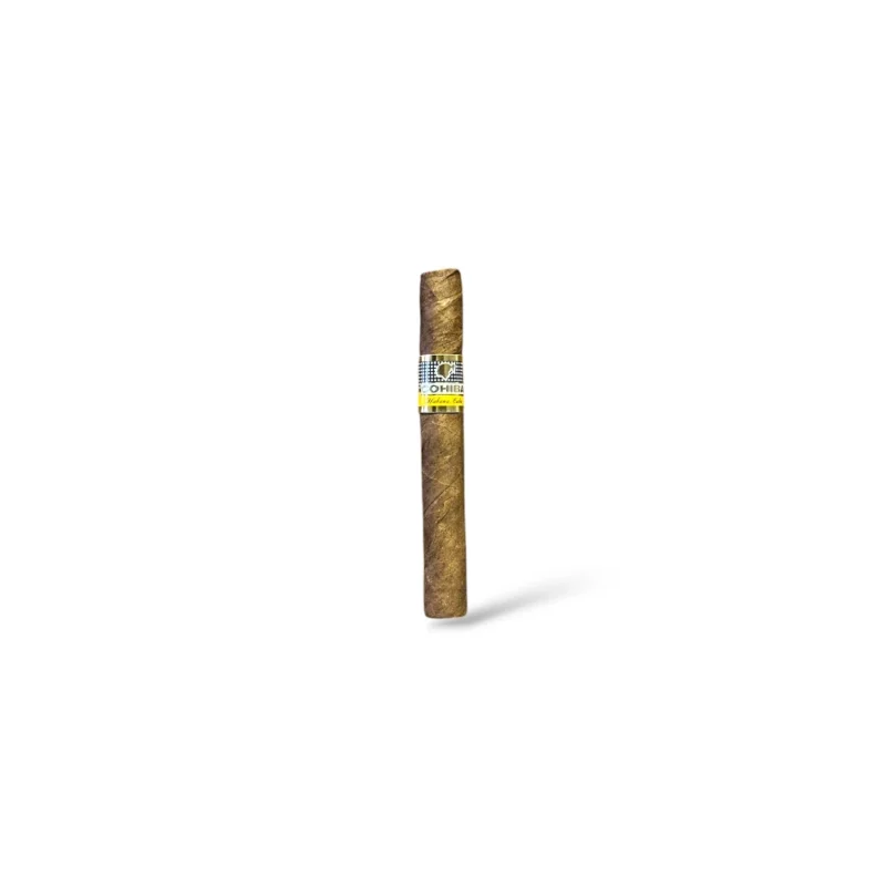 Cohiba Shorts