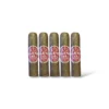 AJ Fernandez Blend 15 Short Robusto Sampler