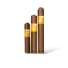 Zino Nicaragua Sampler
