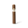 Davidoff Winston Churchill Statesman Robusto Cigar