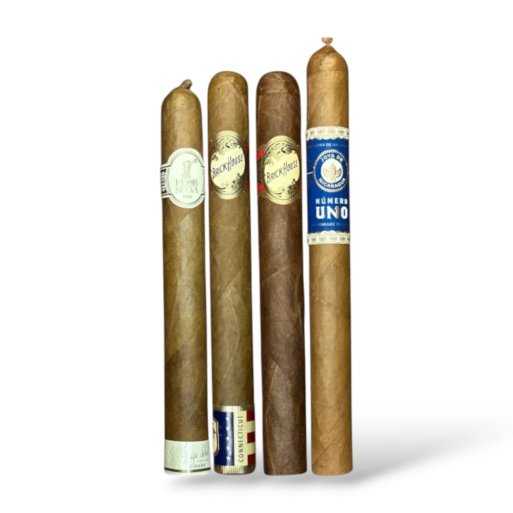 Corona Cigars for Beginners Sampler