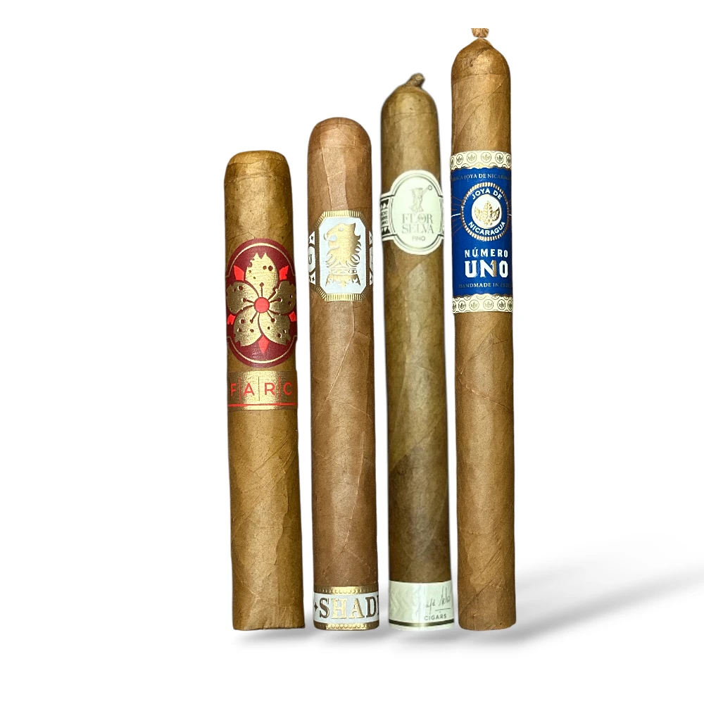 Corona Cigars for Beginners Sampler