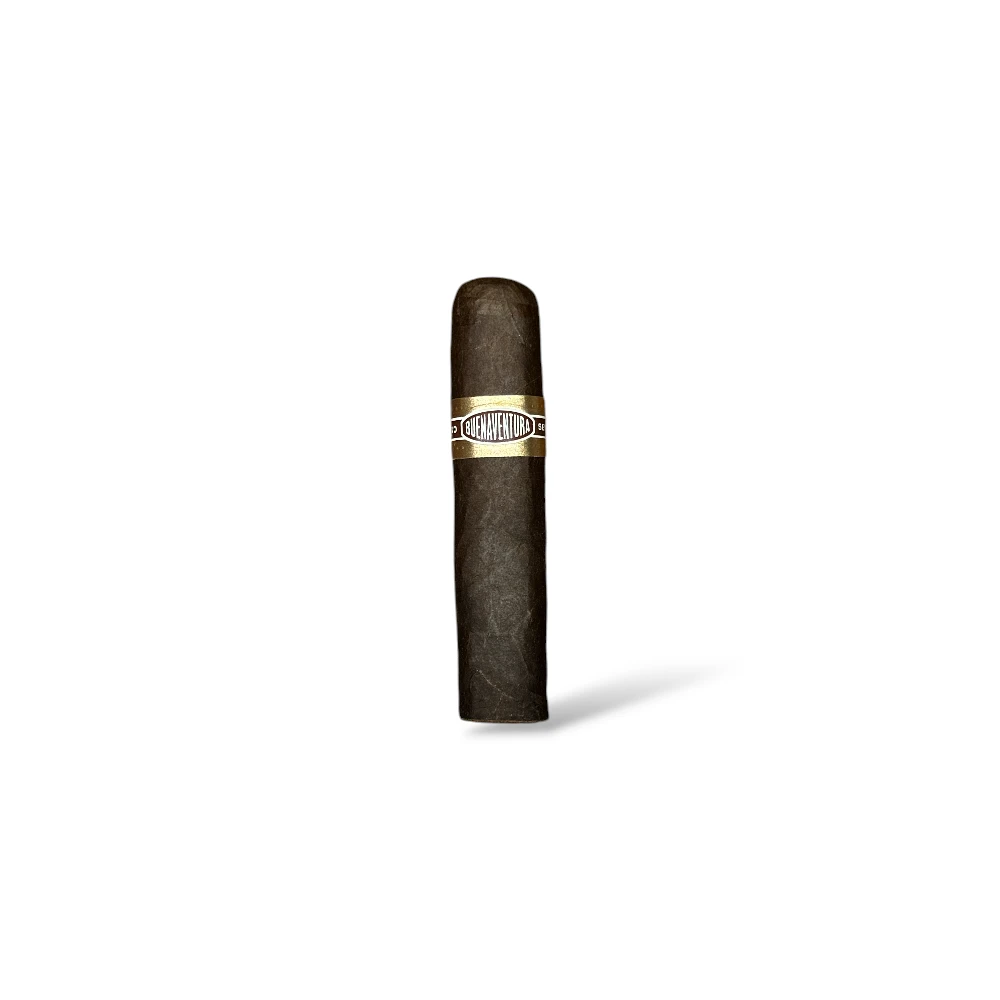 Curivari Buenaventura BV Maduro Mini Robusto Cigar
