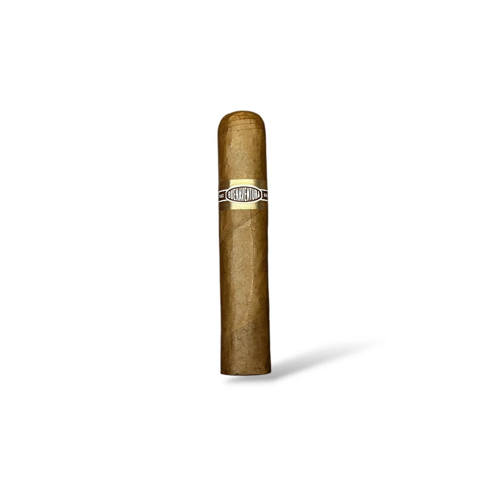 Curivari Buenaventura Claro Petit Robusto Cigar